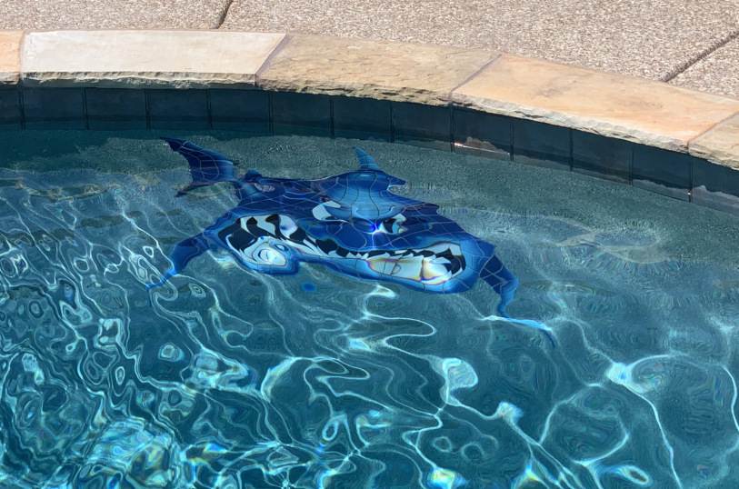 saps-gallery-pools-freeform-107