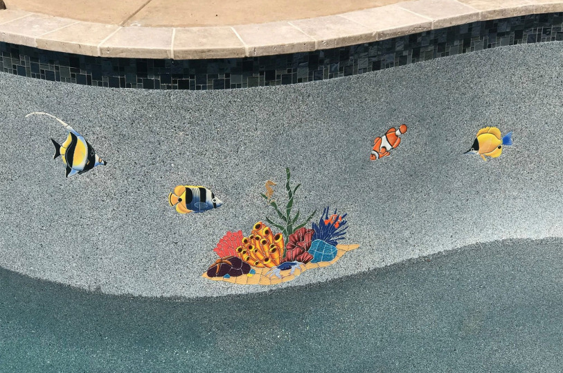 saps-gallery-pools-freeform-142