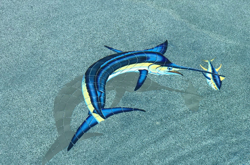 saps-gallery-pools-freeform-147