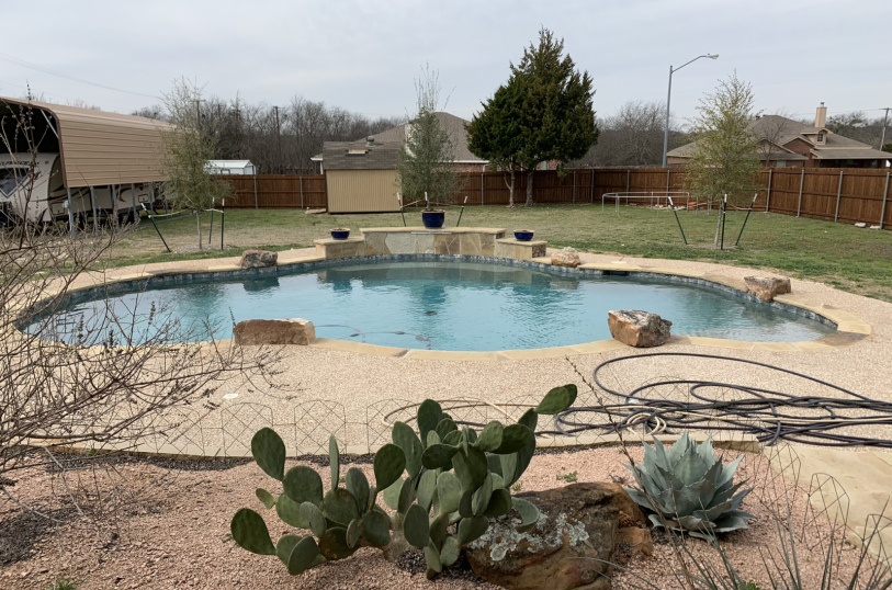 saps-gallery-pools-freeform-158