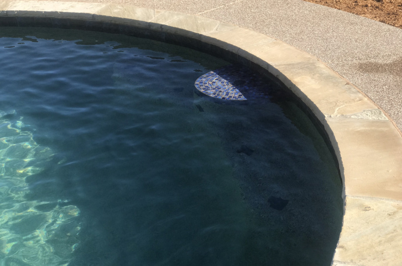 saps-gallery-pools-freeform-164
