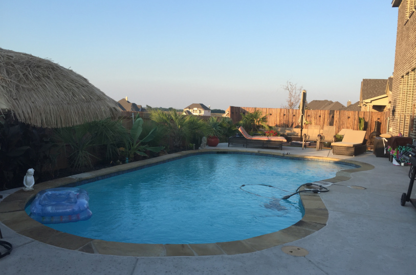 saps-gallery-pools-freeform-50