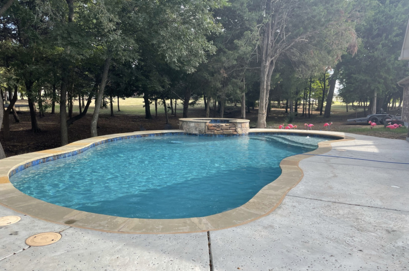 saps-gallery-pools-freeform-54