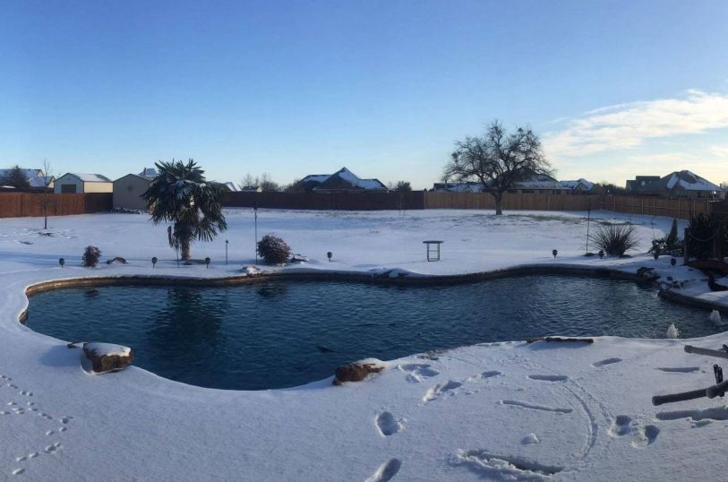 saps-gallery-pools-freeform-91