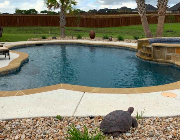 Freeform, custom inground pool in Glen Heights